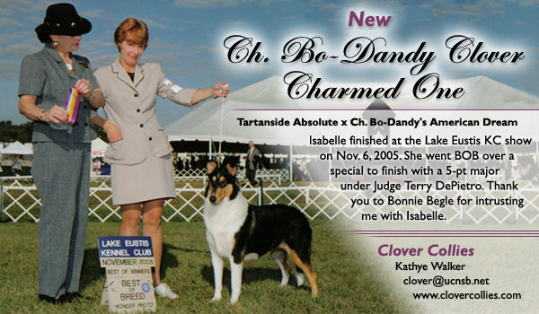 Ch. Bo-Dandy Clover Charmed One