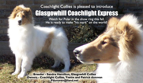 Glasgowhill Coachlight Express