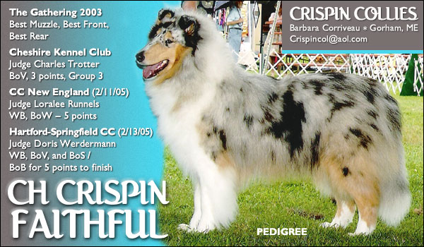 Ch. Crispin Faithful
