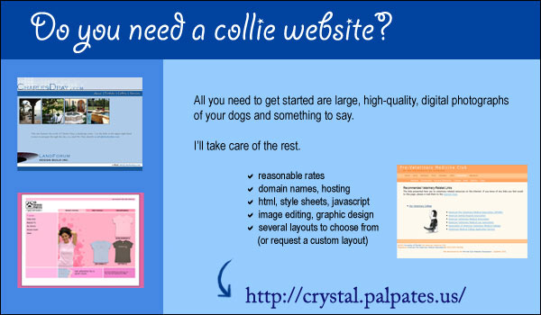 Crystal -- Do you need a collie website?