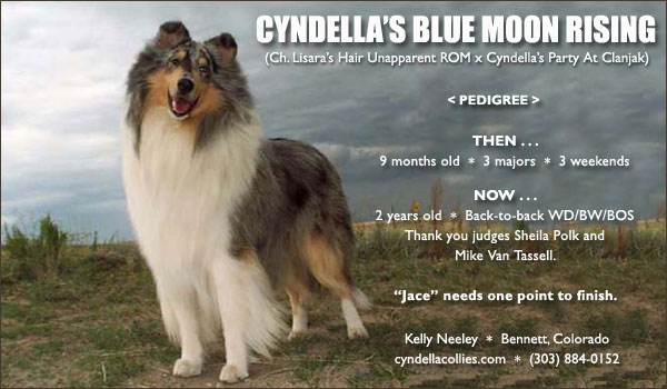Cyndella's Blue Moon Rising