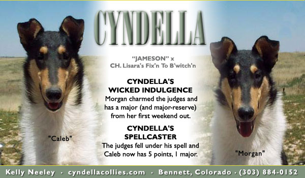 Cyndella Collies