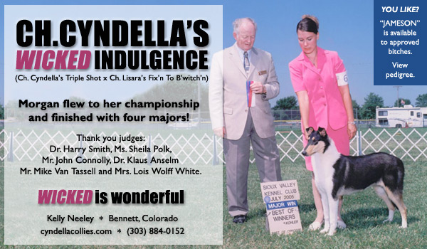 Cyndella's Wicked Indulgence