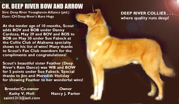 Ch. Deep River Bow and Arrow