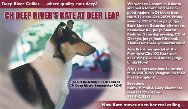 Ch. Deep River's Kate At Deer Leap