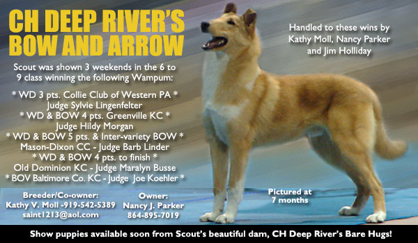 Ch. Deep River's Bow and Arrow
