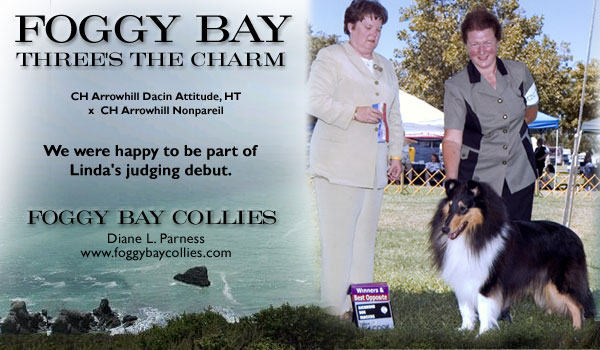 Foggy Bay Three's The Charm