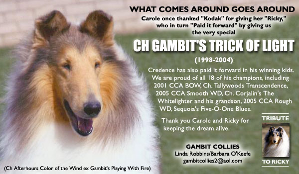 Ch. Gambit's Trick Of Light