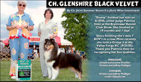 Ch. Glenshire Black Velvet