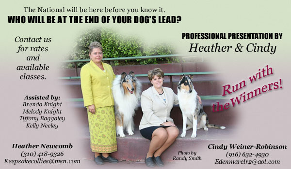 Professional Presentation by Heather and Cindy