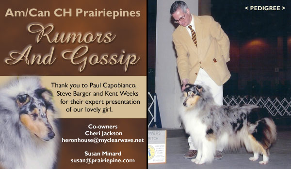 Ch. Prairiepines Rumors and Gossip