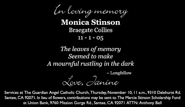 In loving memory: Monica Stinson, Braegate Collies