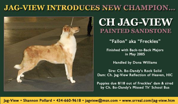 Ch. Jag-View Painted Sandstone