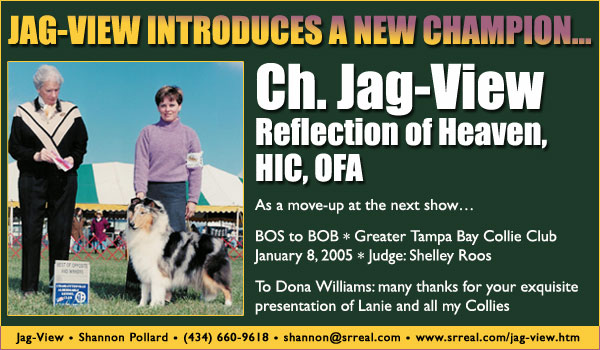 Ch. Jag-View Reflection of Heaven