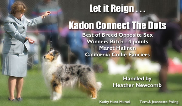 Kadon Connect The Dots