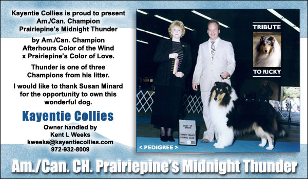 Ch. Prairiepine's Midnight Thunder