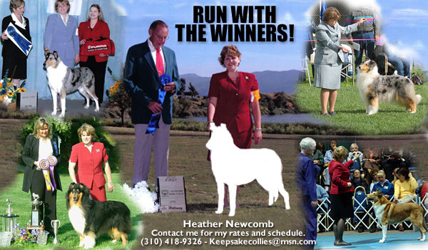 Heather Newcomb - Professional Handling