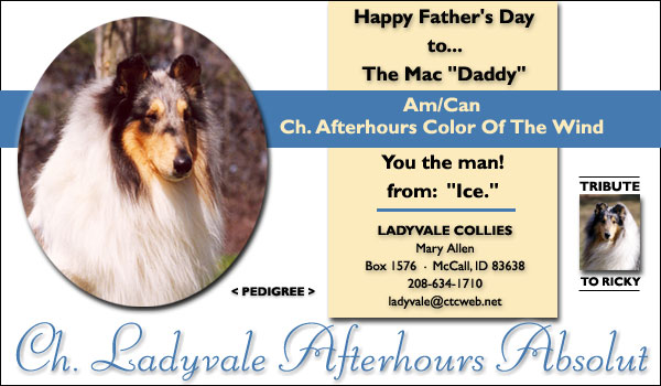 Ch. Ladyvale Afterhours Absolute