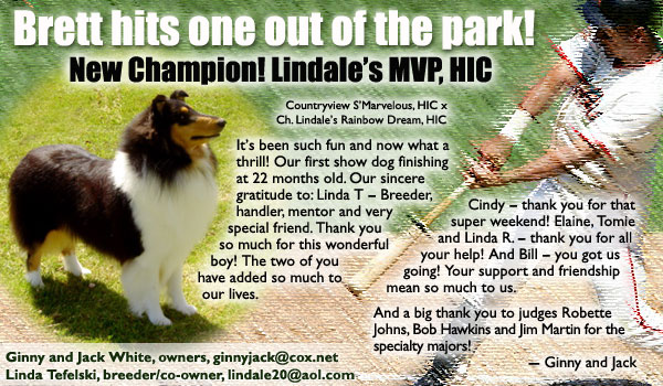 Ch. Lindale's MVP, HIC