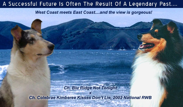 Ch. Blu Ridge Not Tonight and Ch. Colebrae Kimberee Kisses Don't Lie
