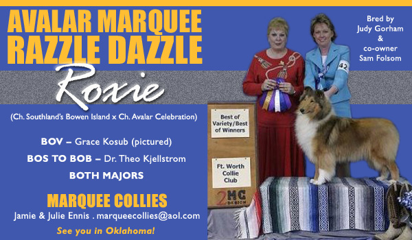 Avalar Marquee Razzle Dazzle