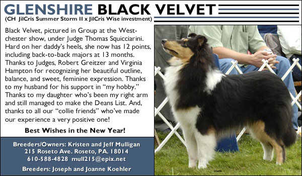 Glenshire Black Velvet