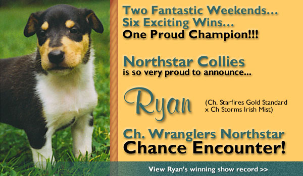 Ch. Wranglers Northstar Chance Encounter!
