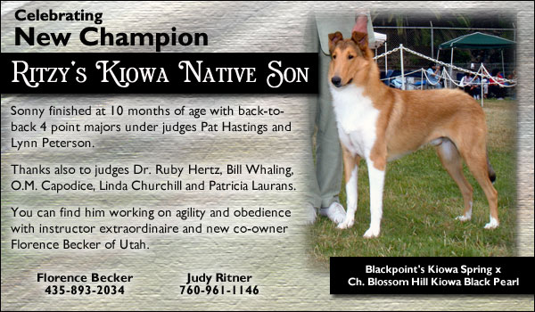 Ch. Ritzy's Kiowa Native Son