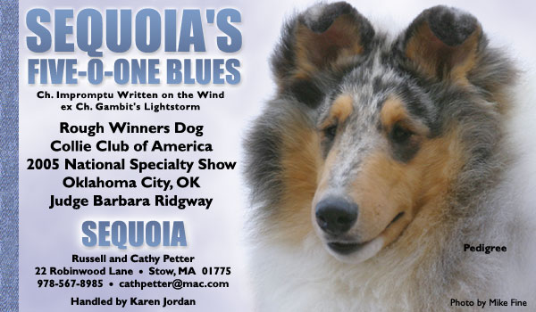 Sequoia's Five-O-One-Blues