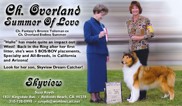 Ch. Overland Summer Of Love