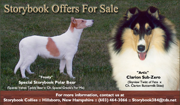 Storybook Collies