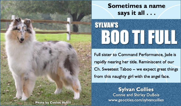 Sylvan's Boo Ti Full