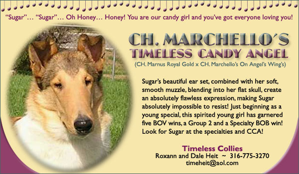 Ch. Marchello's Timeless Candy Angel