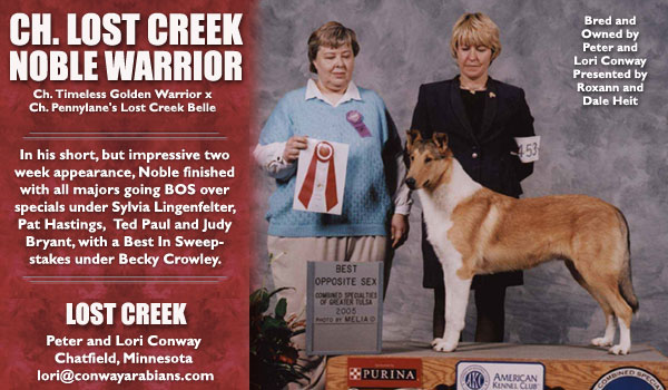 Ch. Lost Creek Noble Warrior