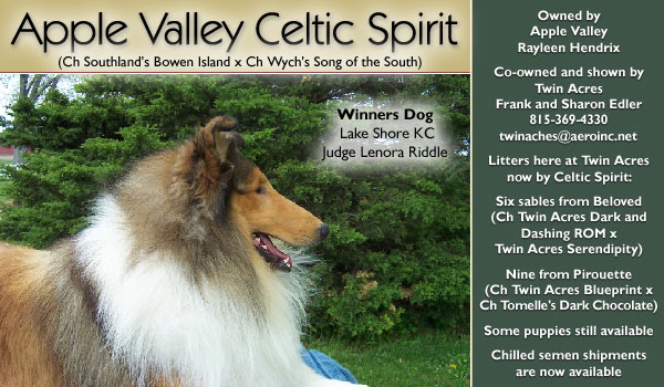 Apple Valley Celtic Spirit