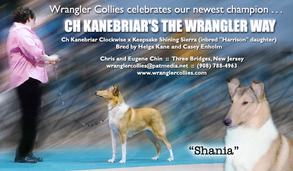 Ch. Kanebriar's The Wrangler Way
