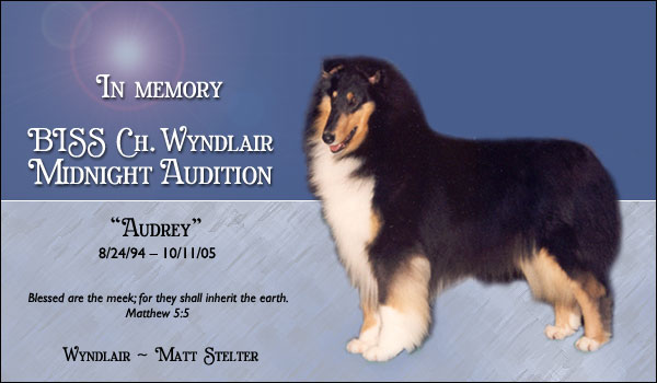Ch. Wyndlair Midnight Audition