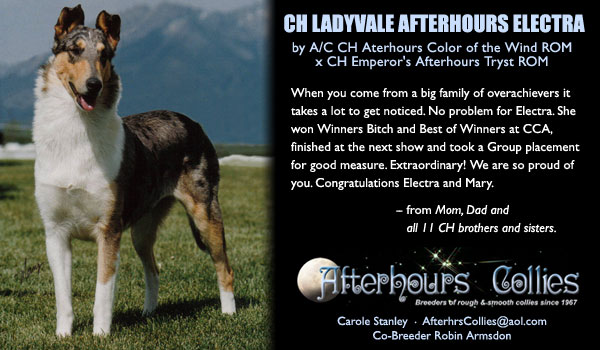 Afterhours -- CH Ladyvale Afterhours Electra