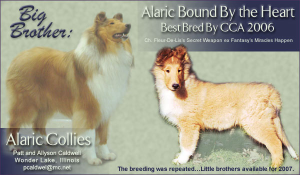 Alaric Collies -- Alaric Bound By The Heart