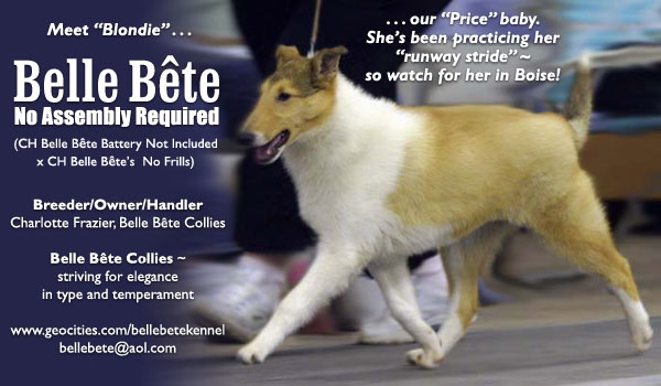 Belle Bete -- Belle Bete No Assembly Required
