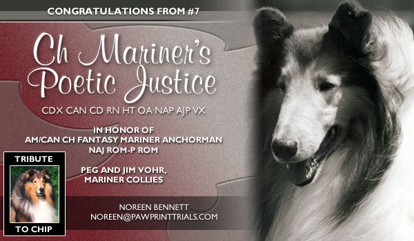 Noreen Bennett -- Ch. Mariner's Poetic Justice CDX CAN CD RN HT OA NAP AJP VX