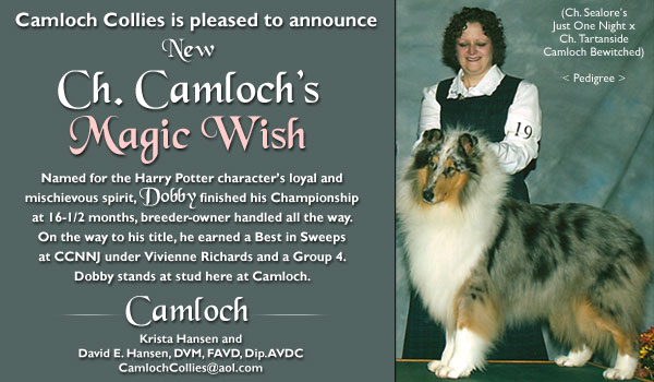 Camloch -- CH Camloch's Magic Wish