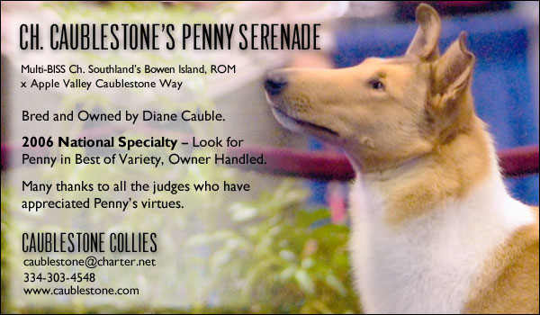 Ch. Caublestone's Penny Serenade