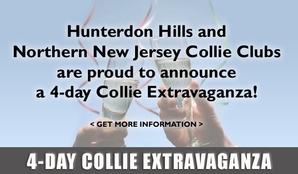 Hunterdon Hills and Northern New Jersey
