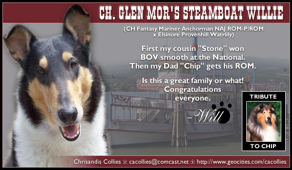Chrisandis -- Ch. Glen Mor's Steamboat Willie