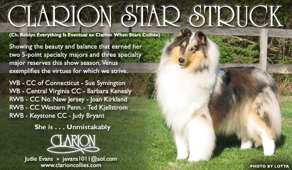 Clarion -- Clarion Star Struck