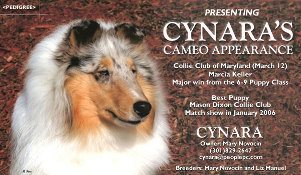 Cynara -- Cynara's Cameo Appearance
