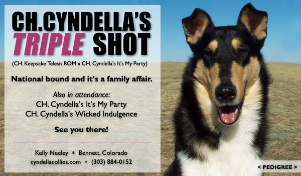 Cyndella -- Ch. Cyndella's Triple Shot