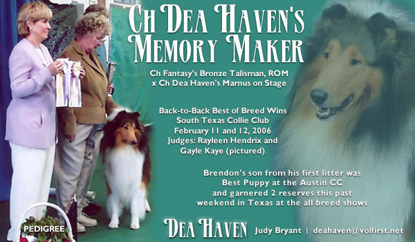 Ch. Dea Haven's Memory Maker