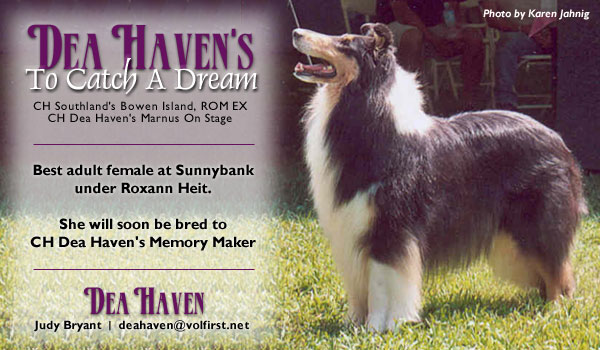 Dea Haven -- CH Dea Haven's To Catch A Dream